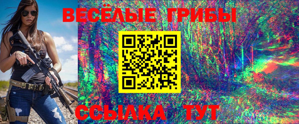 Галлюциногенные грибы MAGIC MUSHROOMS  Вход с VPN  Галлюциногенные грибы GOLDEN TEACHER  Павлово 